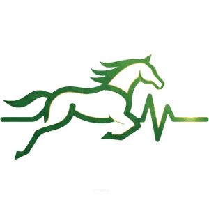 Wetten auf Pferderennen